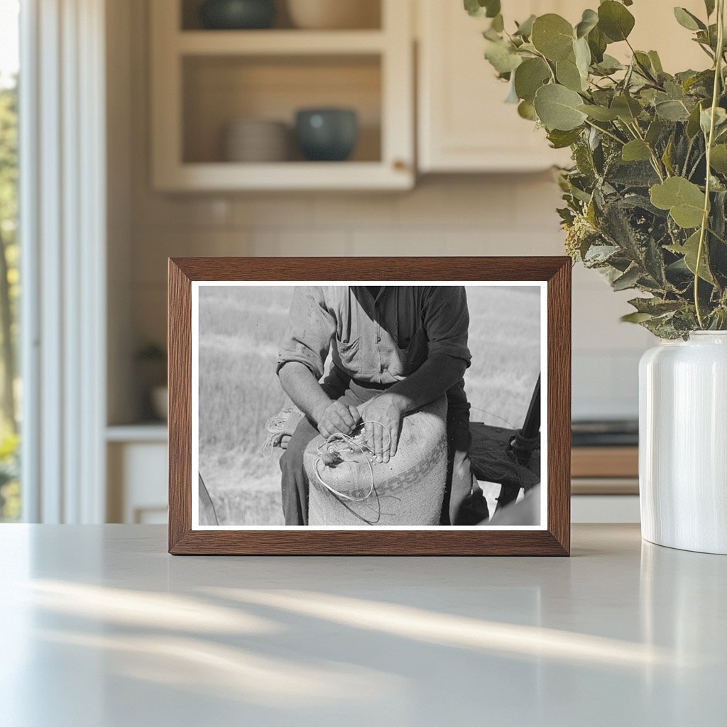 Combine Harvester and Wheat Harvesting in 1941 Washington - Available at KNOWOL