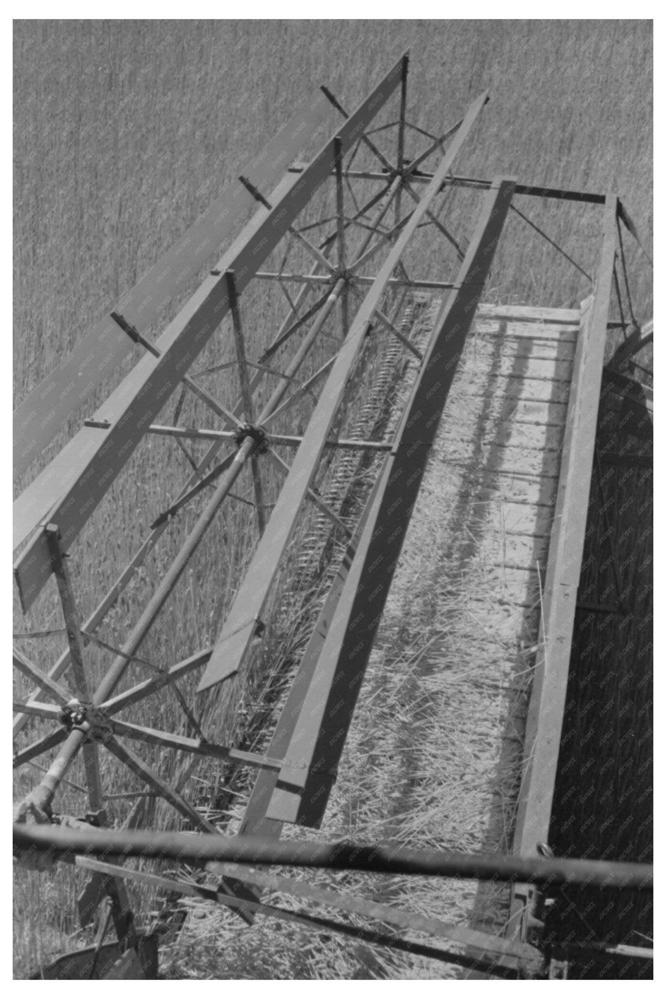 Combine Harvester in Wheat Field Walla Walla 1941 - Available at KNOWOL