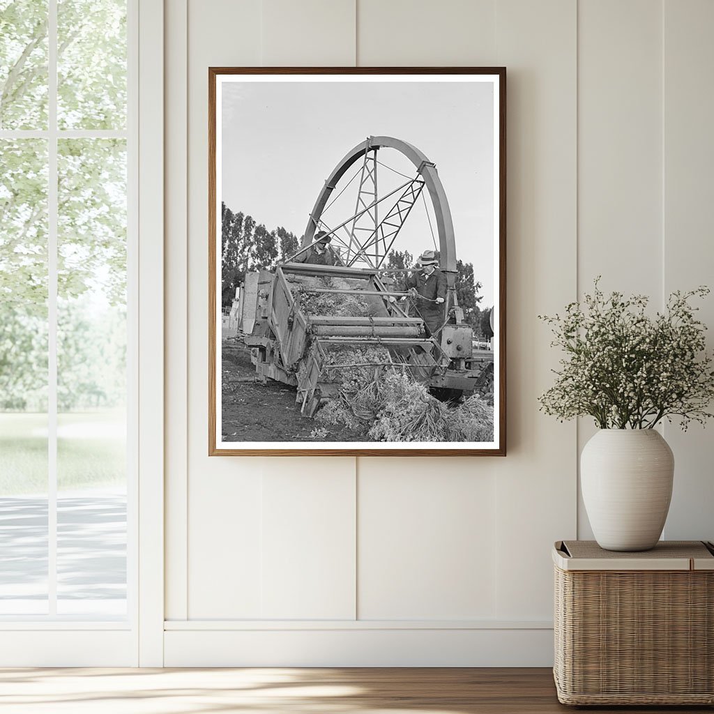 Combined Harvester and Chopper for Guayule 1941 - Available at KNOWOL