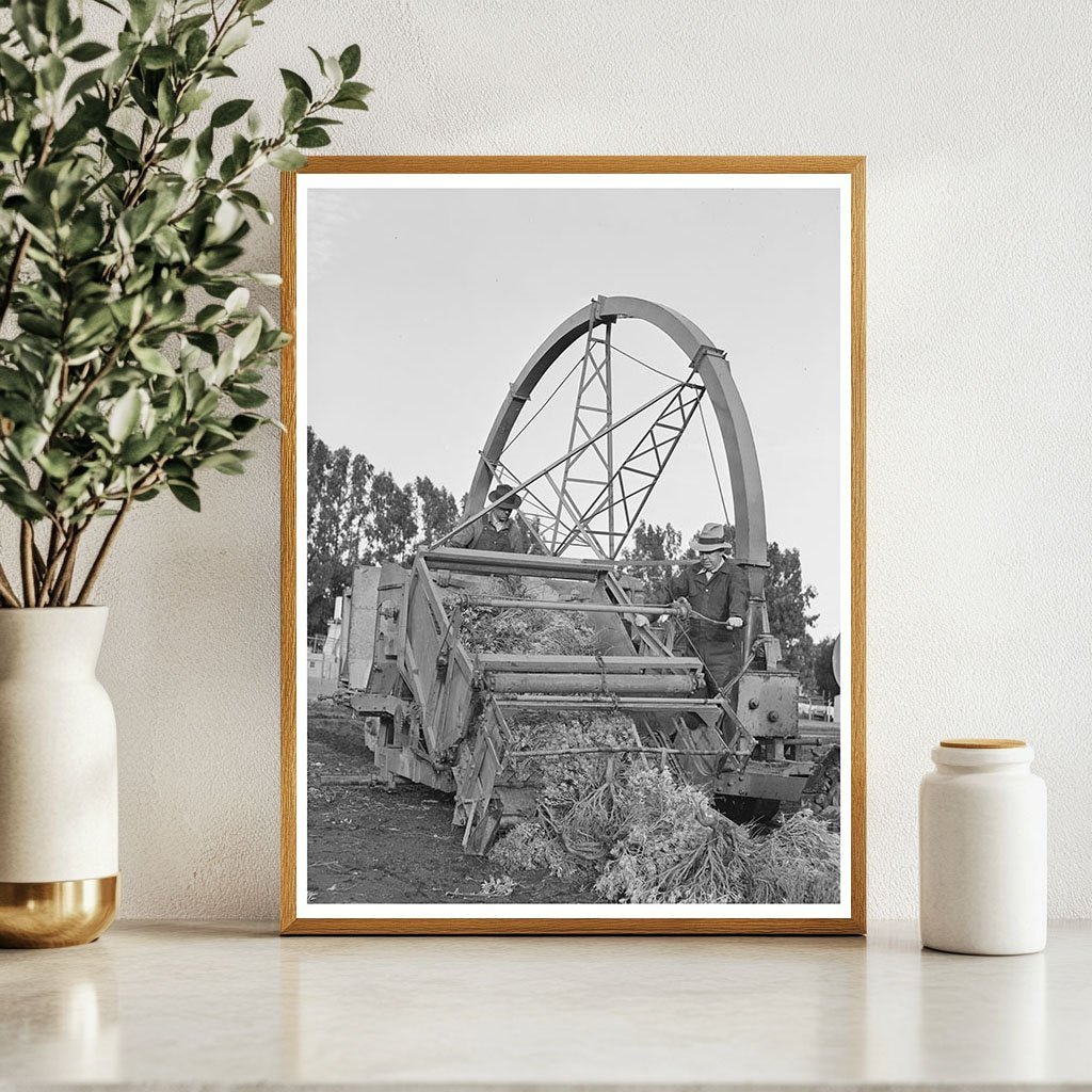 Combined Harvester and Chopper for Guayule 1941 - Available at KNOWOL