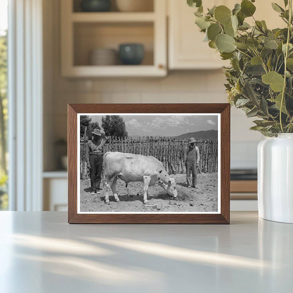 Cooperative Bull in Box Elder County Utah 1940 - Available at KNOWOL