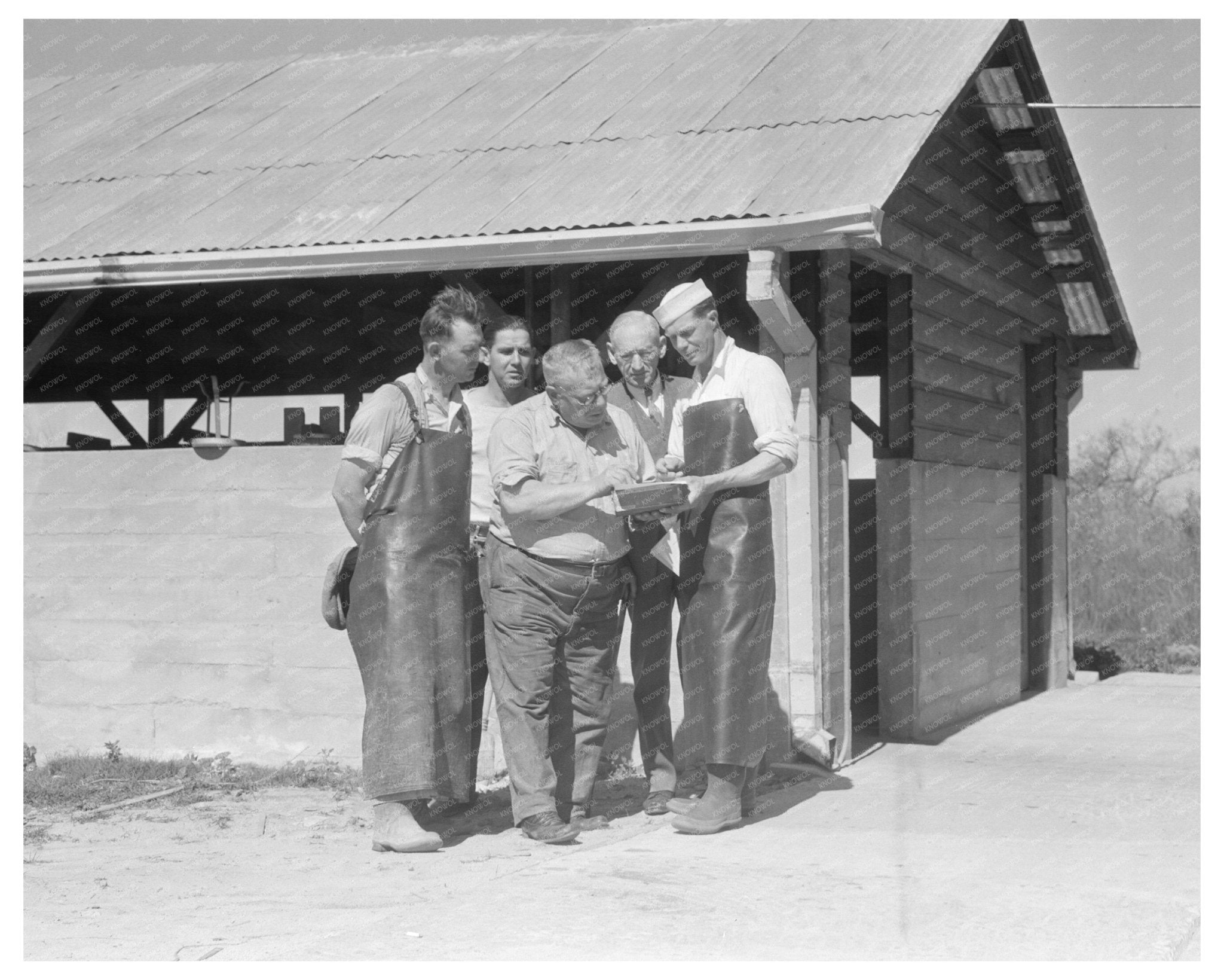 Cooperative Dairy Near Santa Ana California February 1936 Vintage Image - Available at KNOWOL