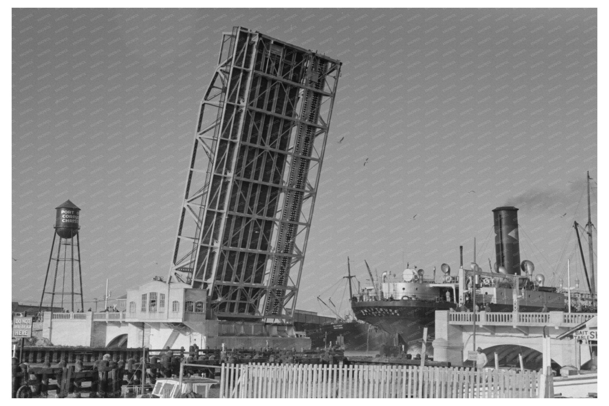 Corpus Christi Texas Freighter and Drawbridge February 1939 - Available at KNOWOL