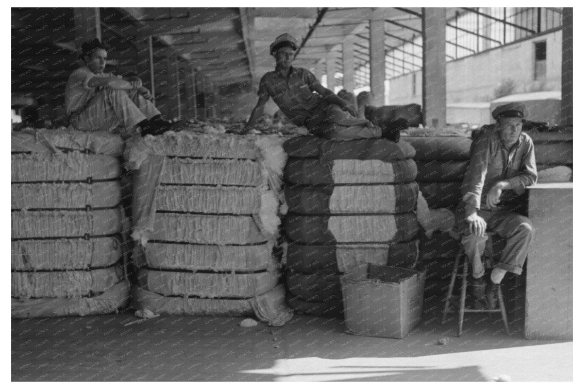 Cotton Bale Loading in Houston Texas 1939 - Available at KNOWOL