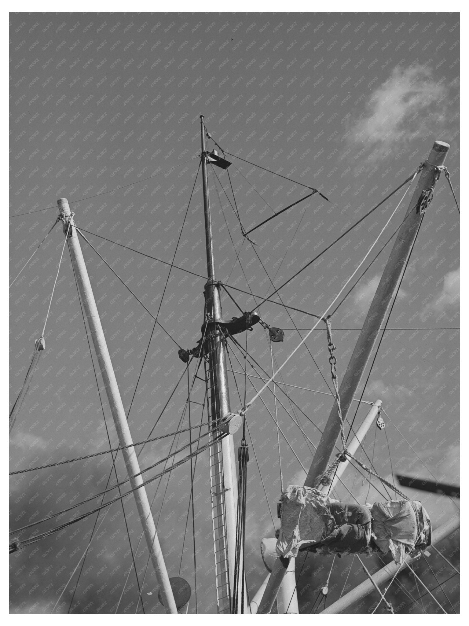 Cotton Bales Loaded on Spanish Ship at Port of Houston 1939 - Available at KNOWOL