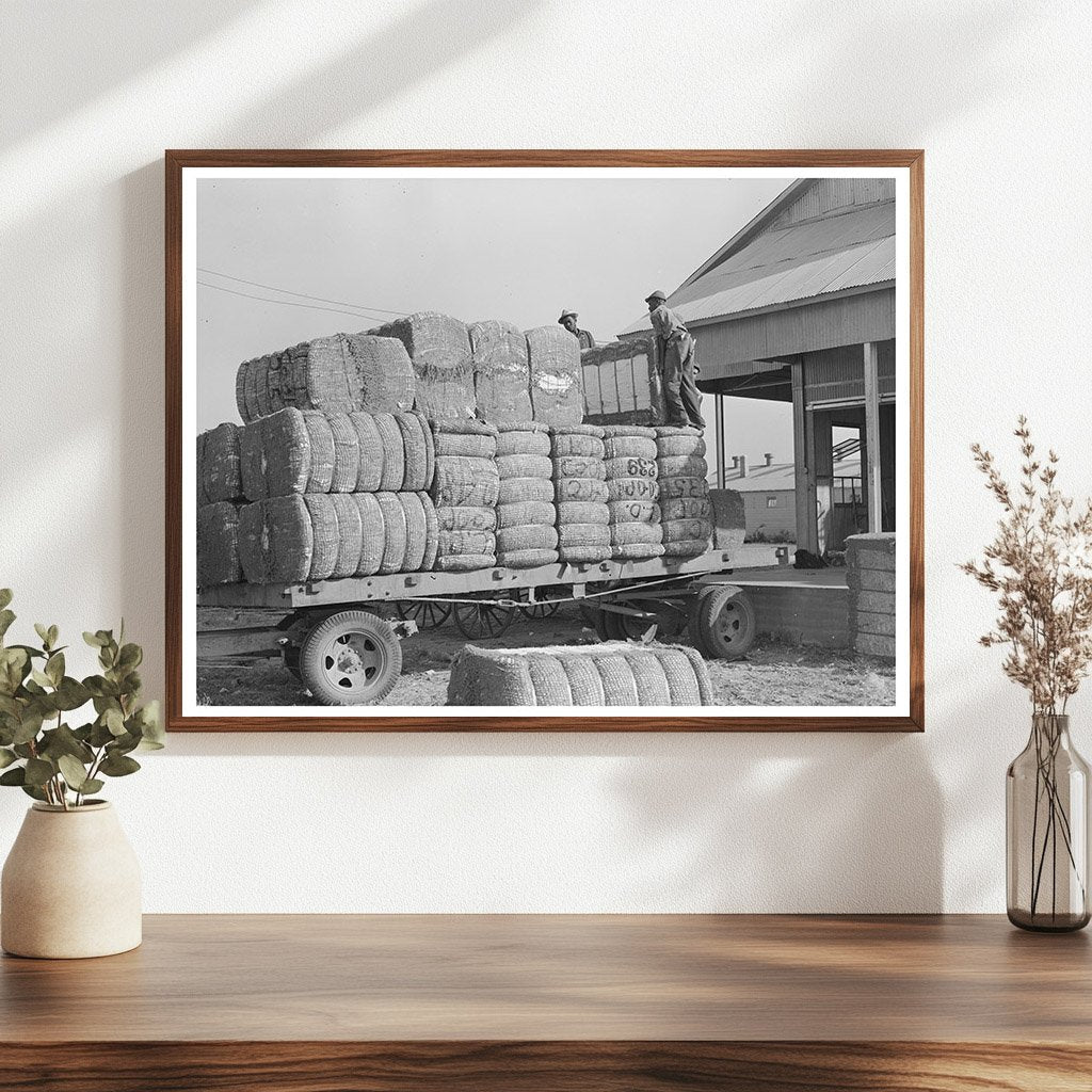 Cotton Bales Loaded onto Truck Jefferson County Arkansas 1938 - Available at KNOWOL