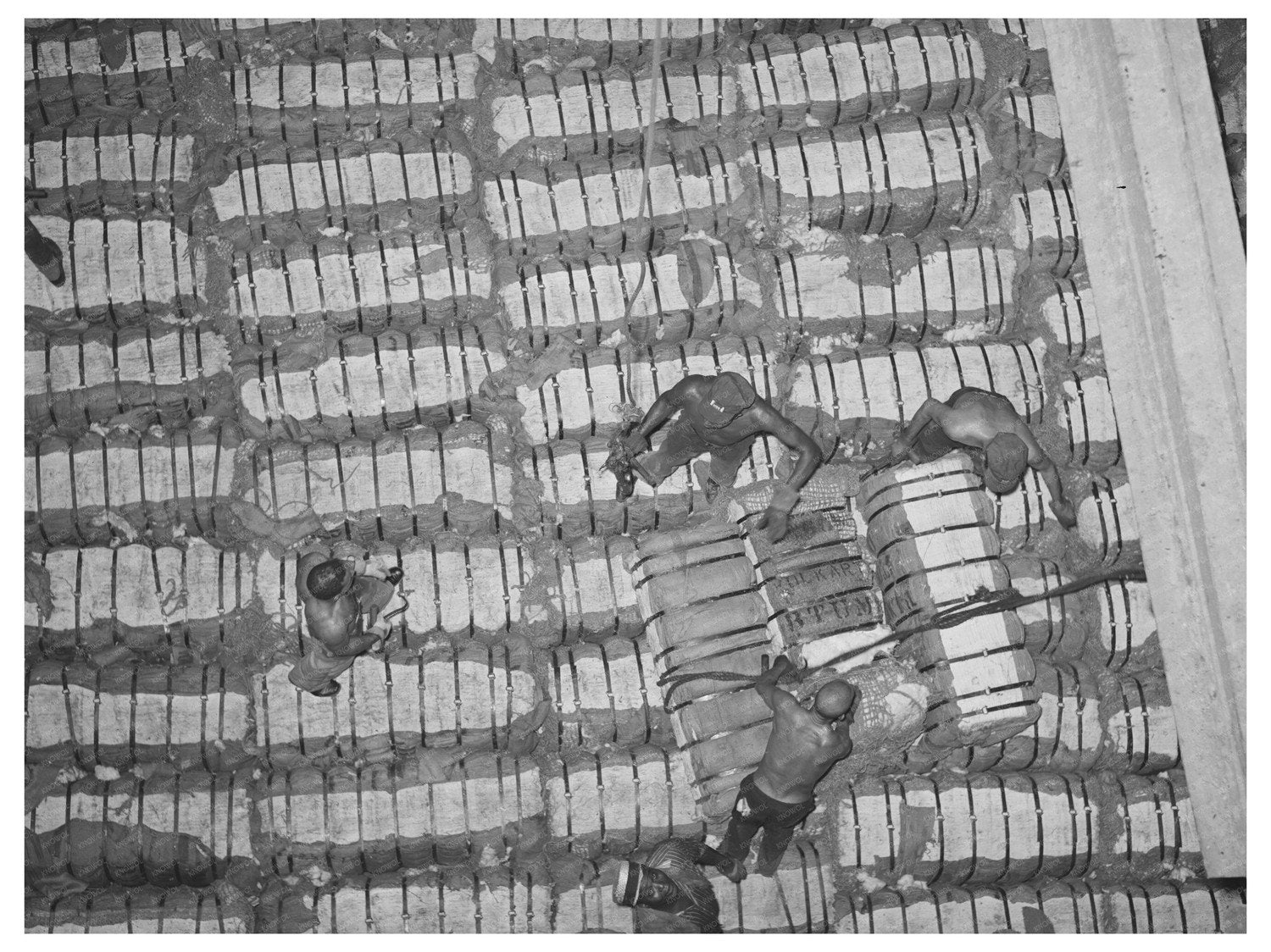 Cotton Bales Stored on Freighter in Houston 1939 - Available at KNOWOL