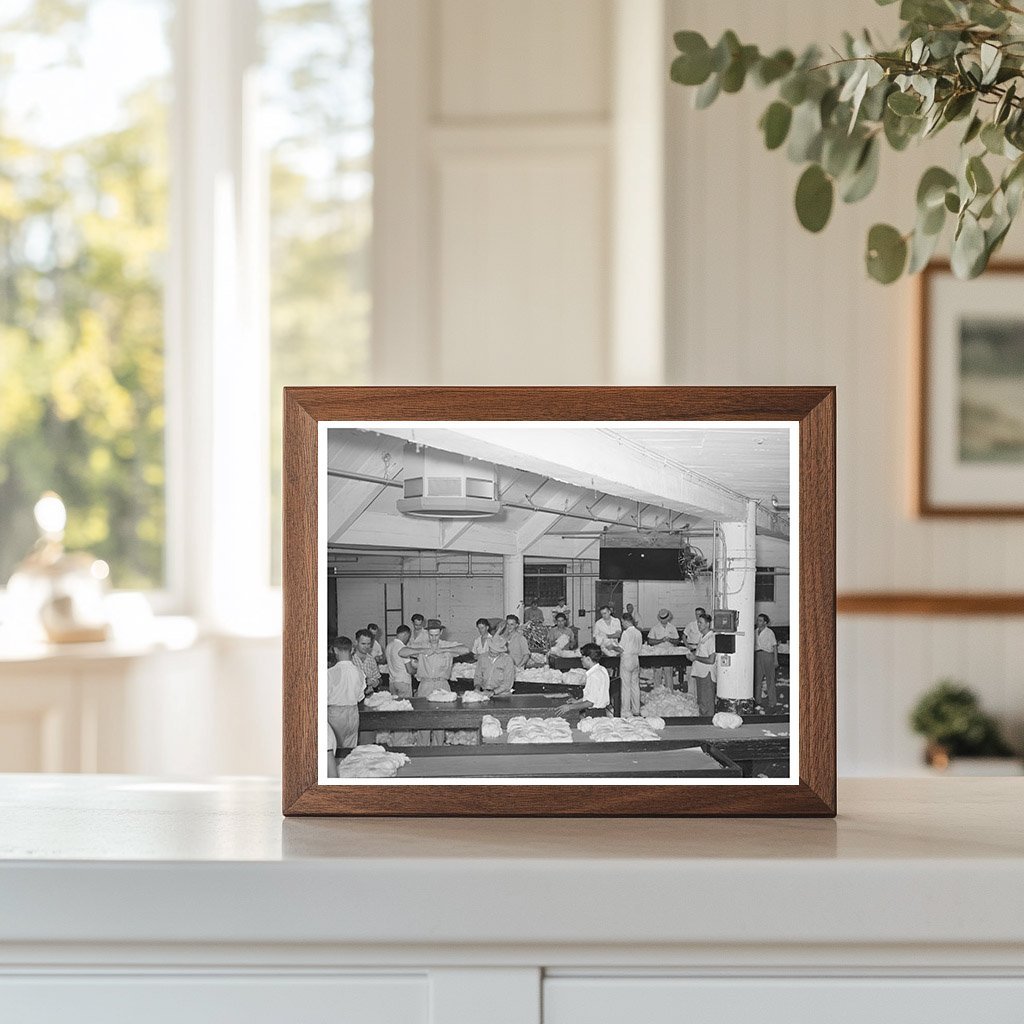 Cotton Compress Sampling Room Houston Texas 1939 - Available at KNOWOL