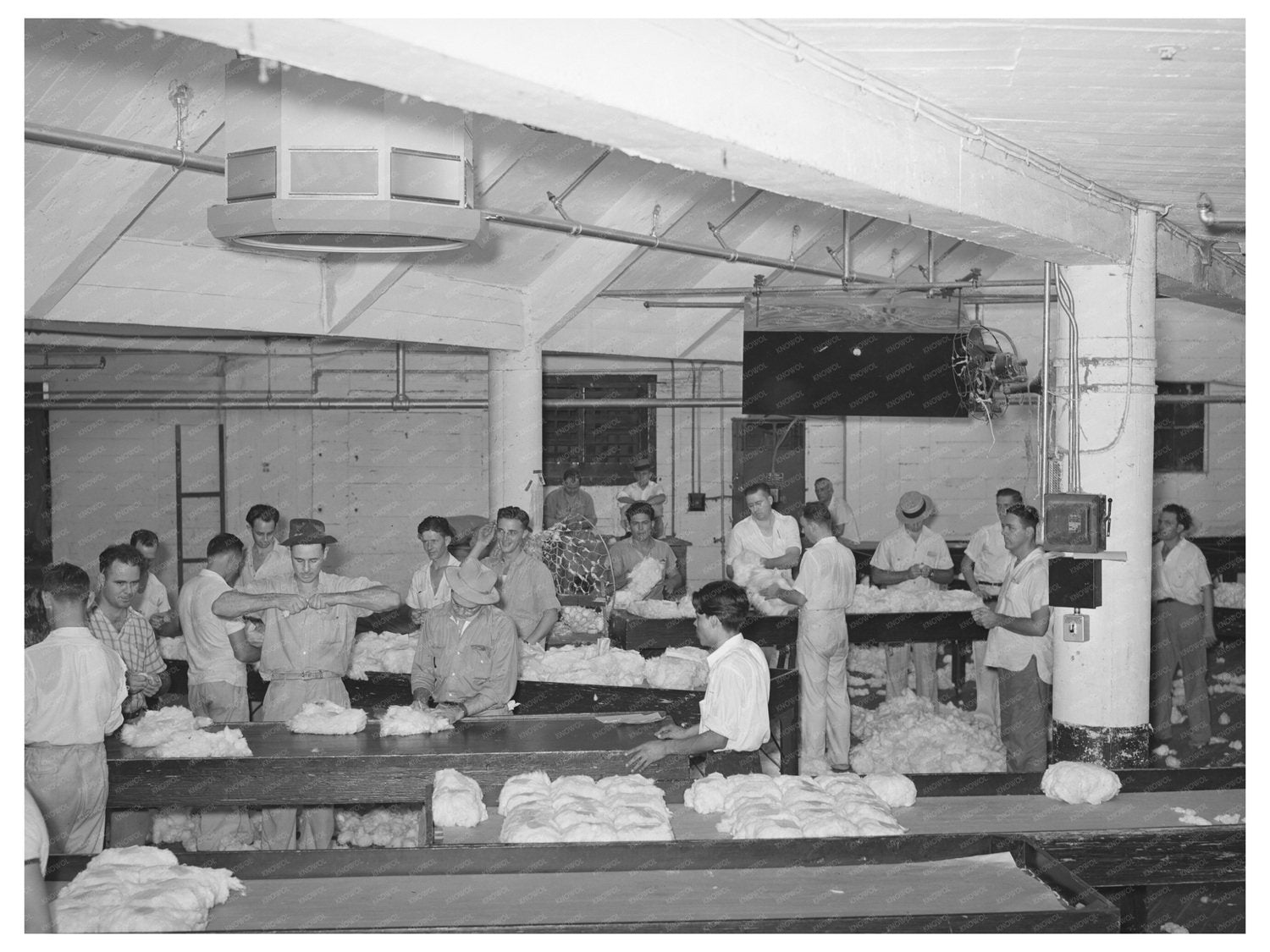 Cotton Compress Sampling Room Houston Texas 1939 - Available at KNOWOL