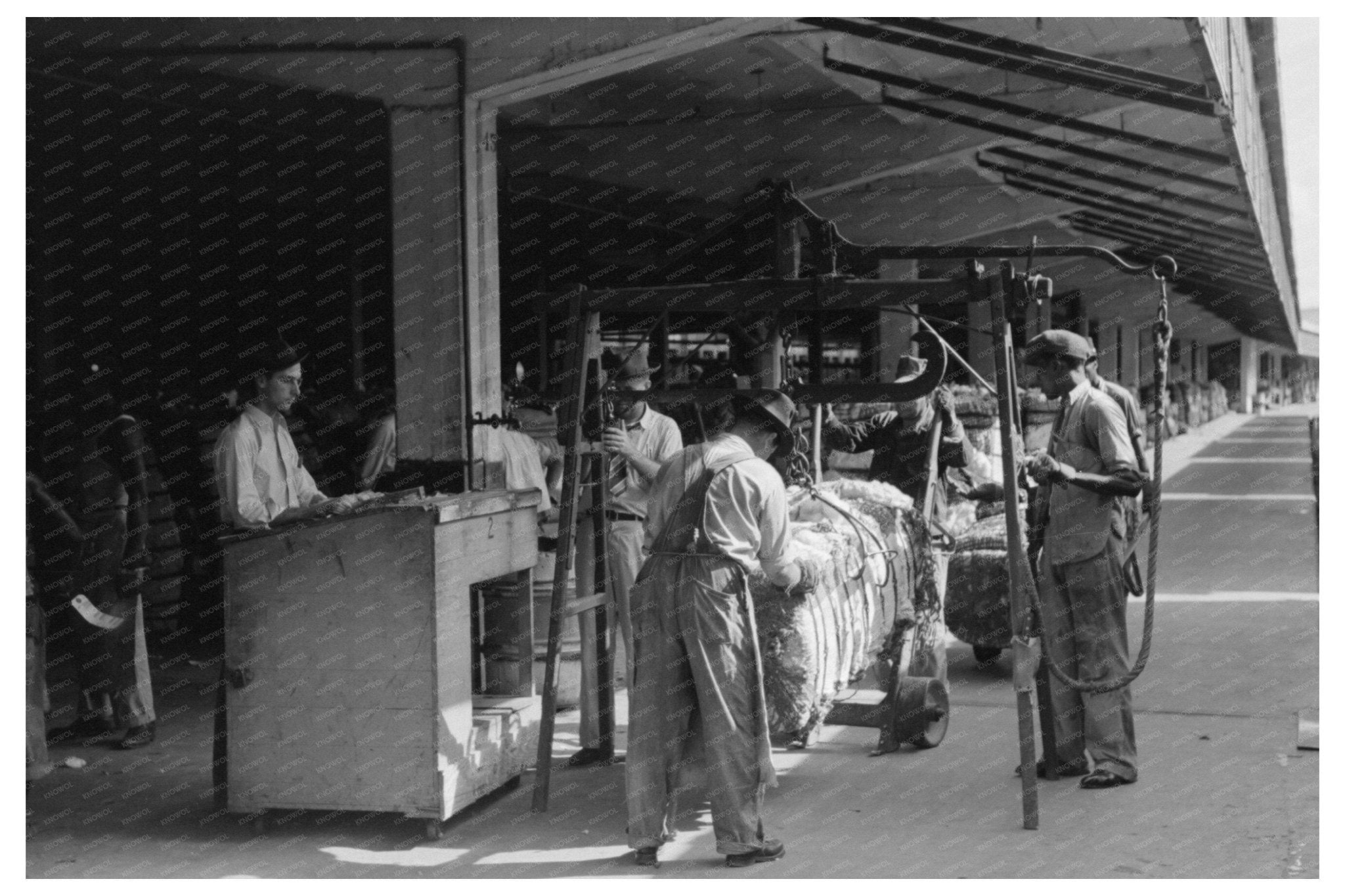 Cotton Compress Workers in Houston Texas October 1939 - Available at KNOWOL