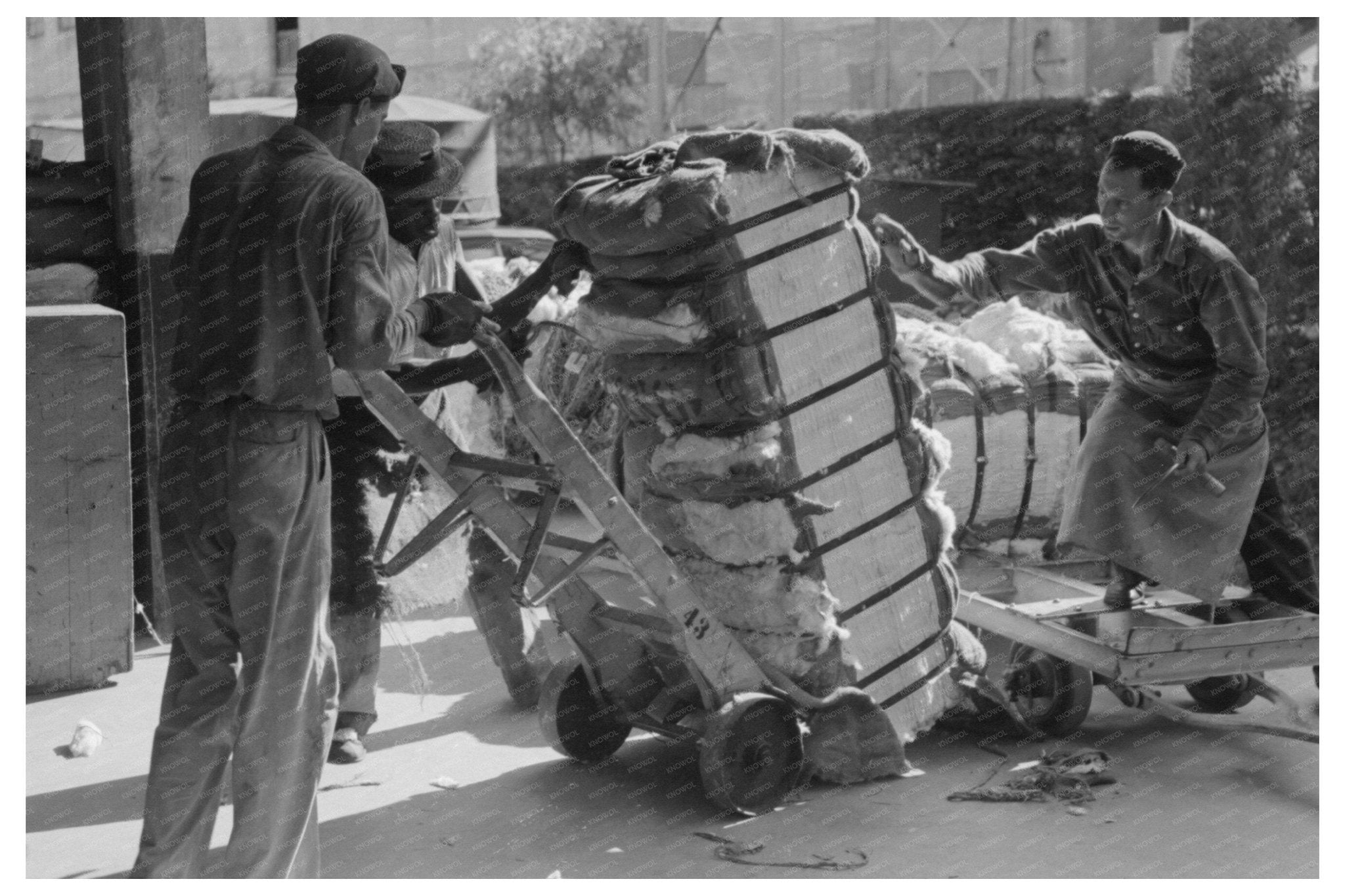 Cotton Loading at Houston Compress October 1939 - Available at KNOWOL
