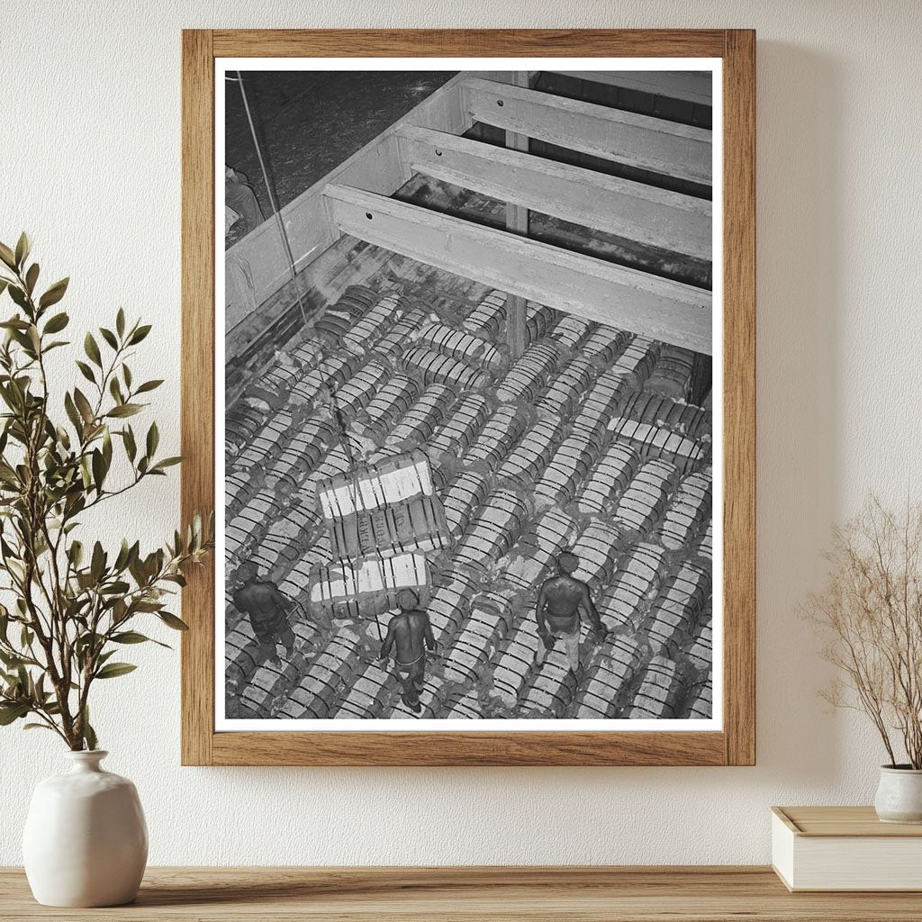Cotton Loading Process in Houston Texas 1939 - Available at KNOWOL