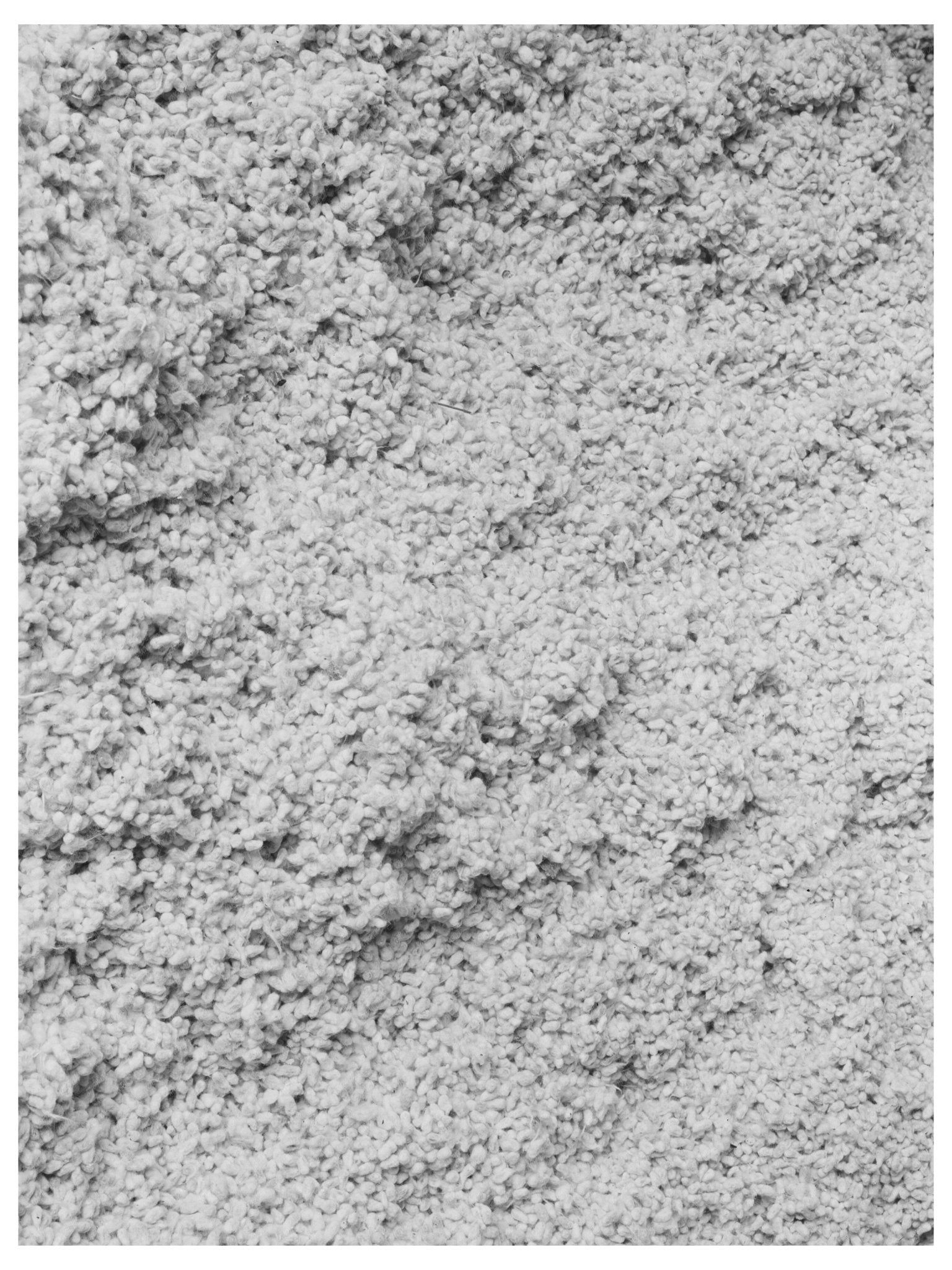Cotton Seed from Lake Dick Project Jefferson County 1938 - Available at KNOWOL