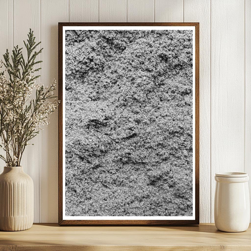 Cotton Seed Hulls Waco Texas November 1939 - Available at KNOWOL