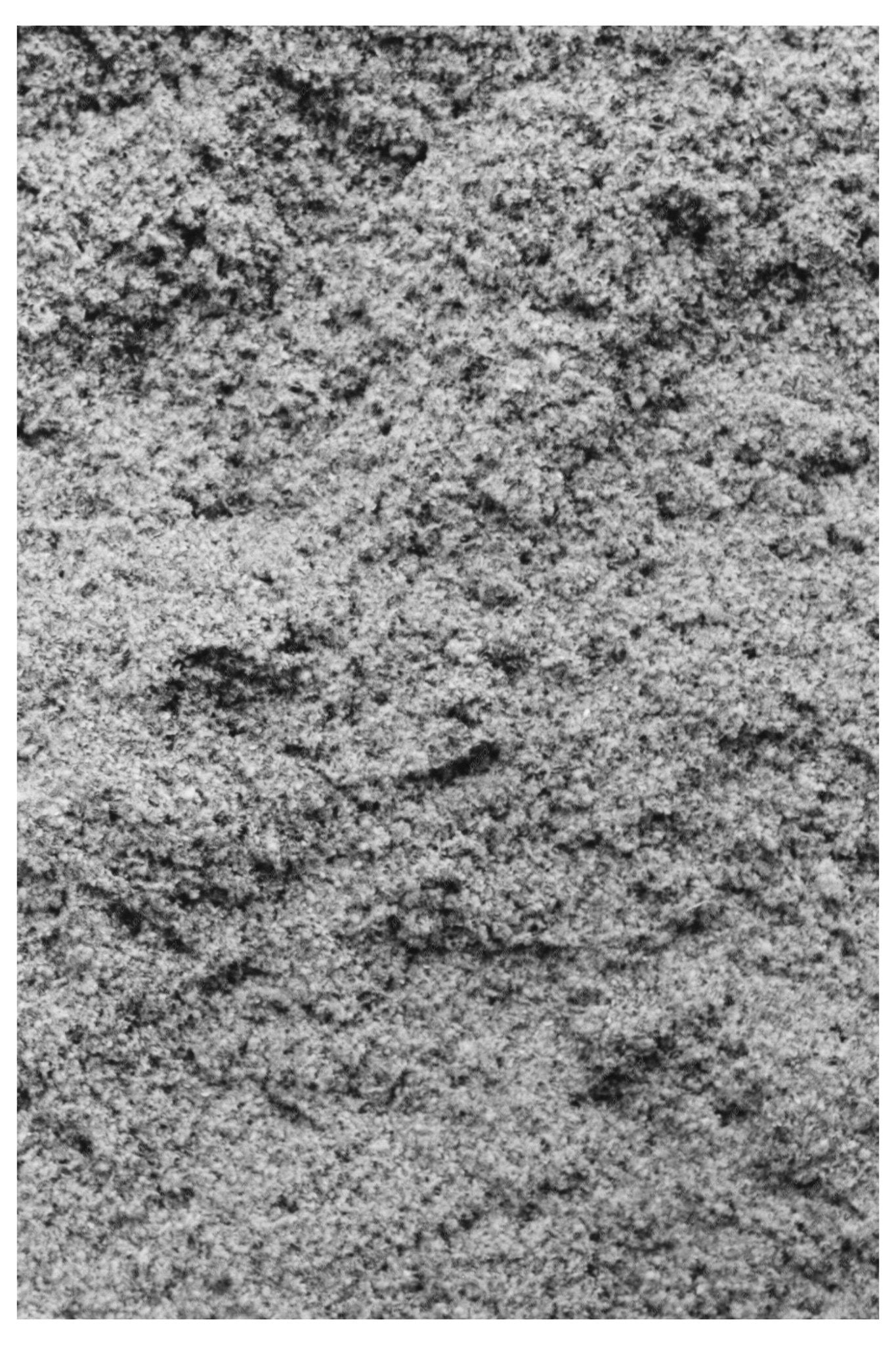 Cotton Seed Hulls Waco Texas November 1939 - Available at KNOWOL