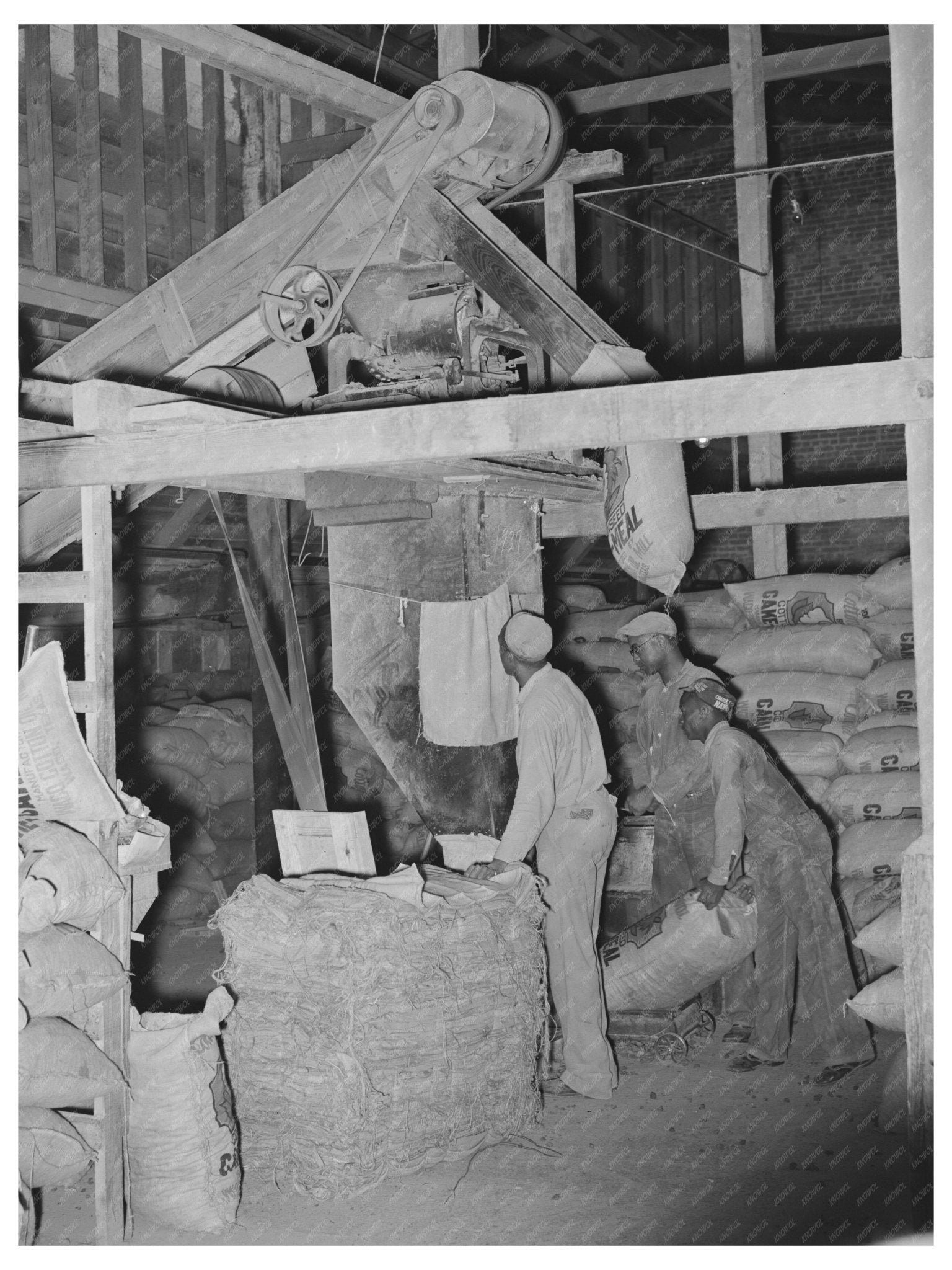 Cotton Seed Meal Sacking at Texas Oil Mill 1939 - Available at KNOWOL