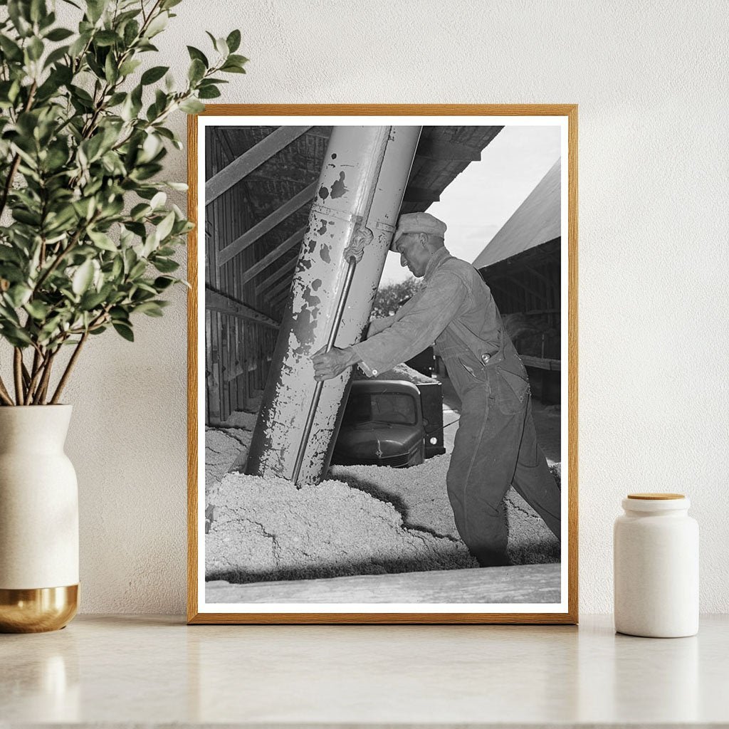 Cotton Seed Oil Mill Unloading in McLennan County 1939 - Available at KNOWOL