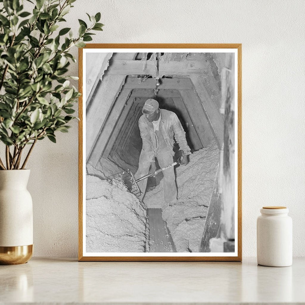 Cotton Seed Processing at Texas Oil Mill November 1939 - Available at KNOWOL