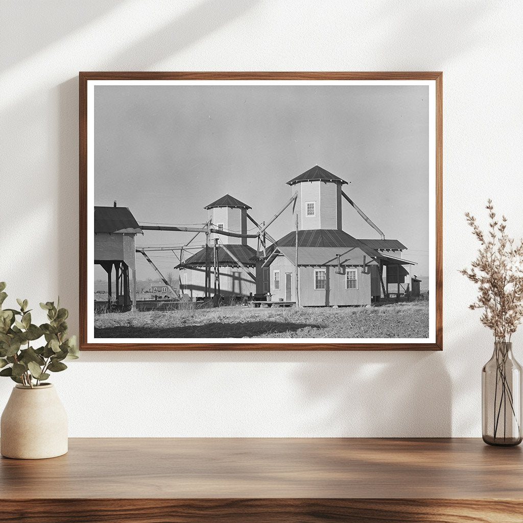 Cotton Seed Storage Warehouse Louisiana January 1939 - Available at KNOWOL