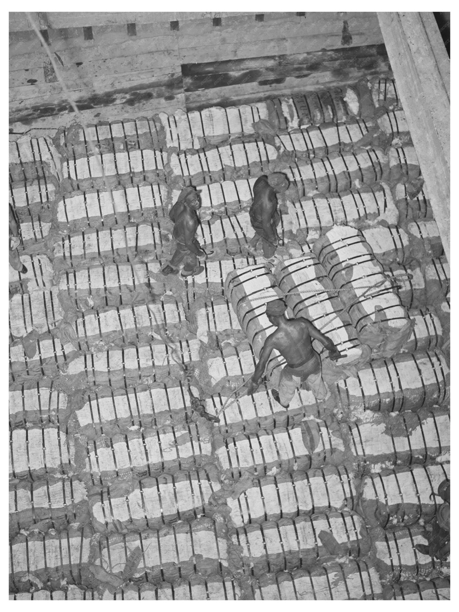 Cotton Storage at Port of Houston 1939 - Available at KNOWOL