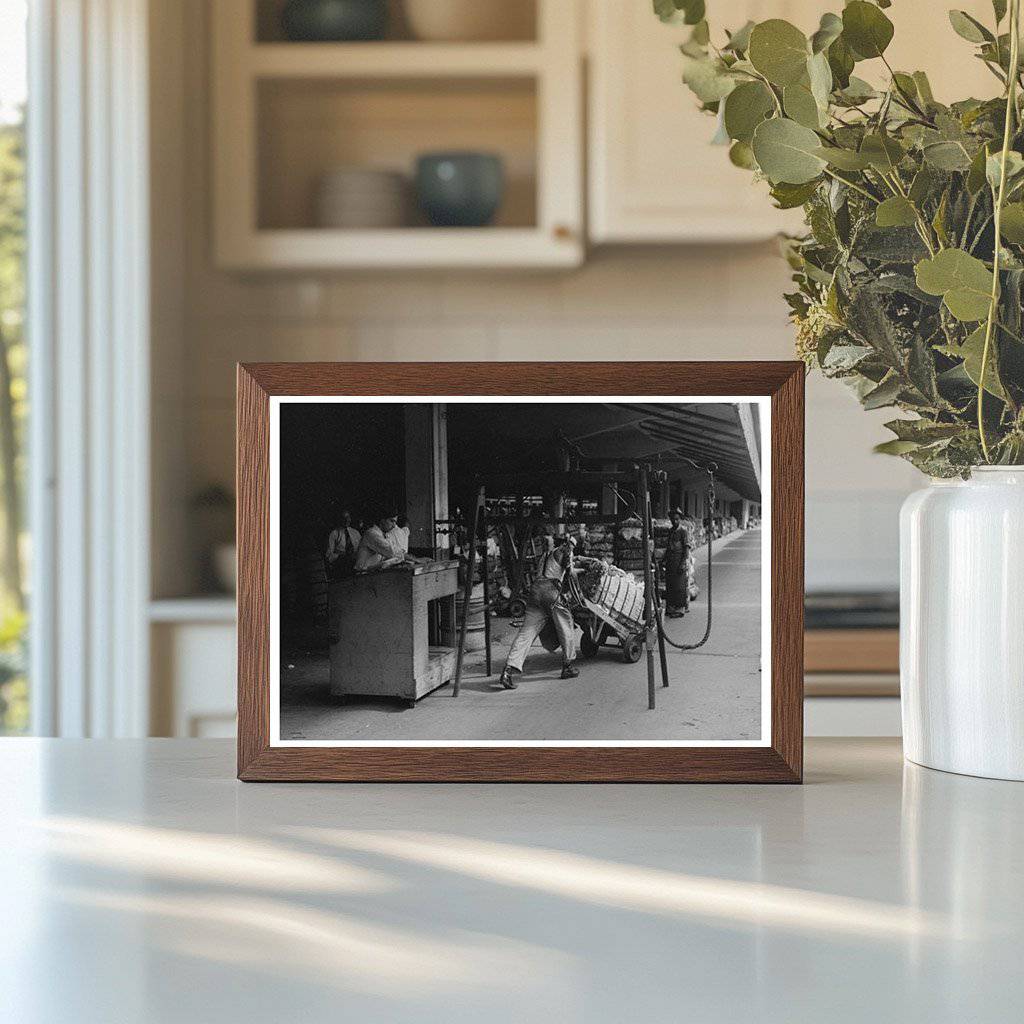 Cotton Unloading at Houston Compress October 1939 - Available at KNOWOL