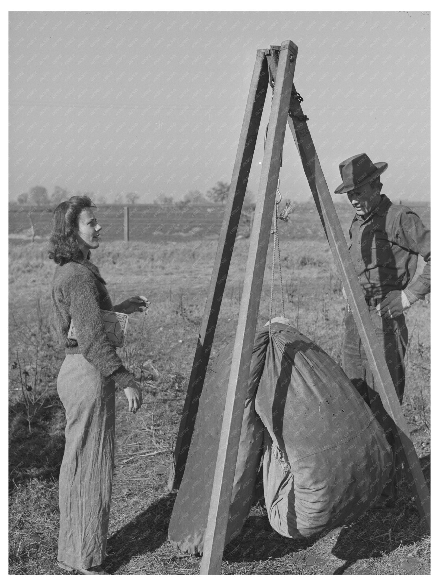 Cotton Weighing in Tulare County California February 1942 - Available at KNOWOL