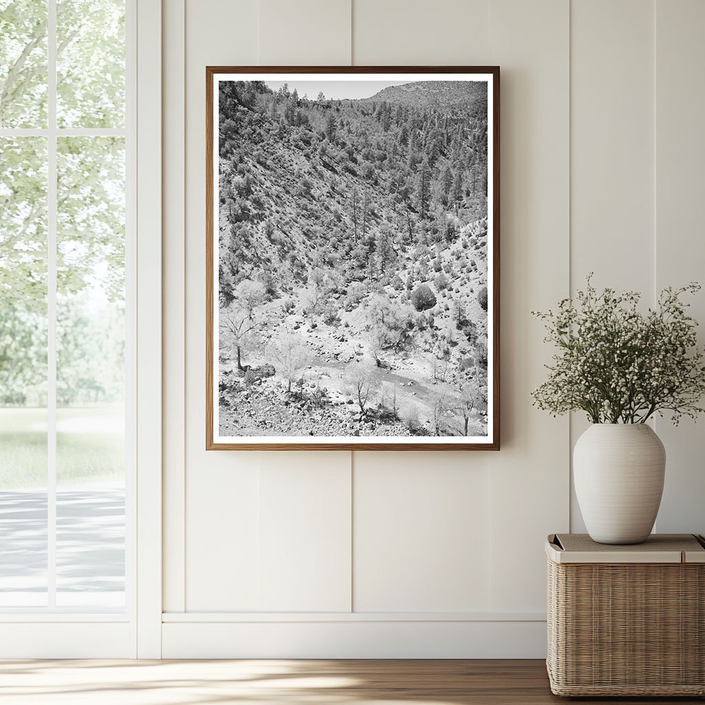 Cottonwood Trees by Carrizo Creek Navajo County Arizona 1940 - Available at KNOWOL