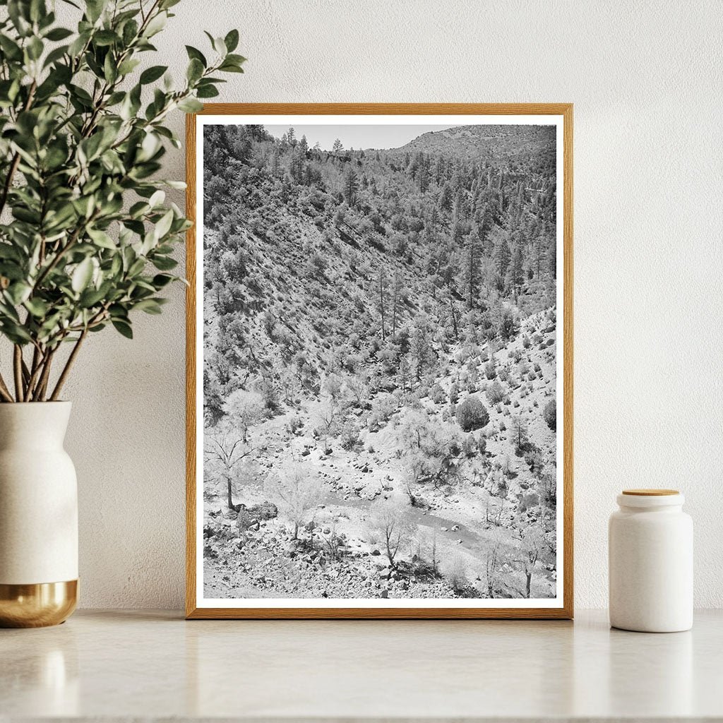 Cottonwood Trees by Carrizo Creek Navajo County Arizona 1940 - Available at KNOWOL