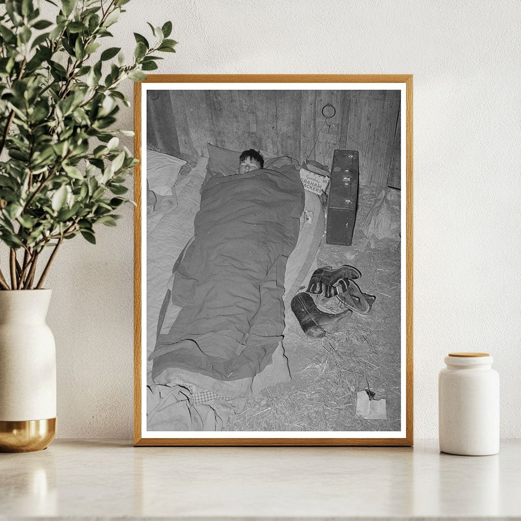 Cowboy Asleep in Cattle Show Barn San Angelo 1940 - Available at KNOWOL