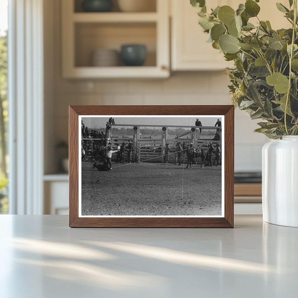 Cowboy Calf Roping at San Angelo Rodeo 1940 - Available at KNOWOL