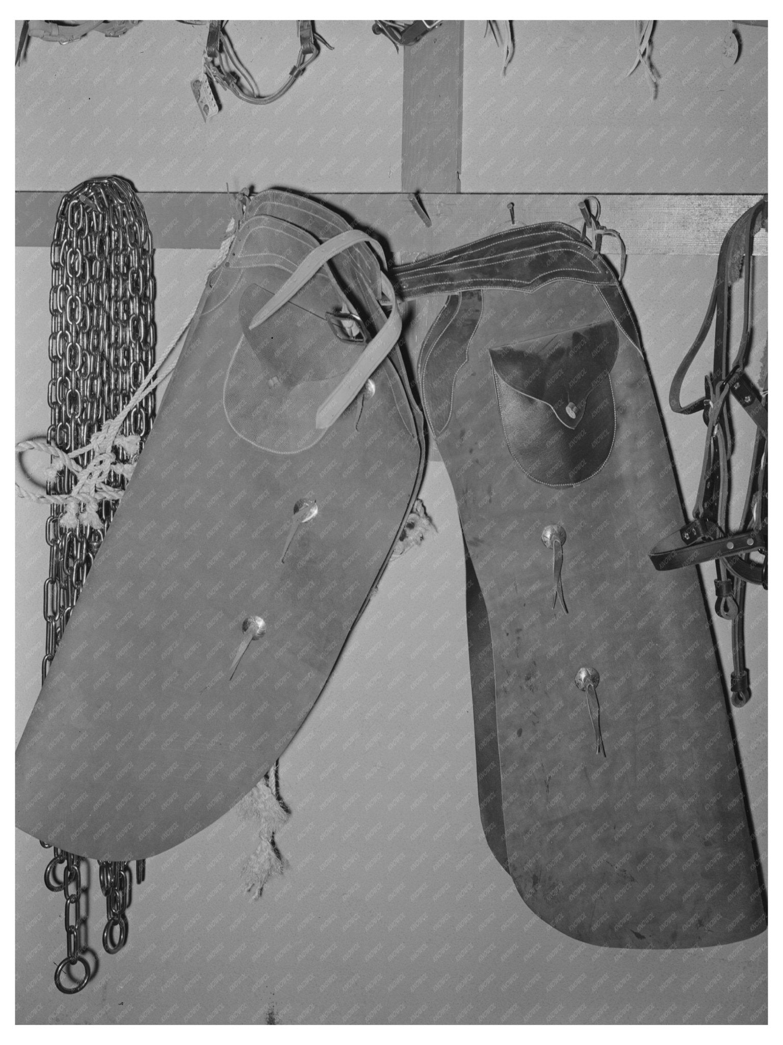 Cowboy Chaps in Ranch Supply Store Alpine Texas May 1939 - Available at KNOWOL