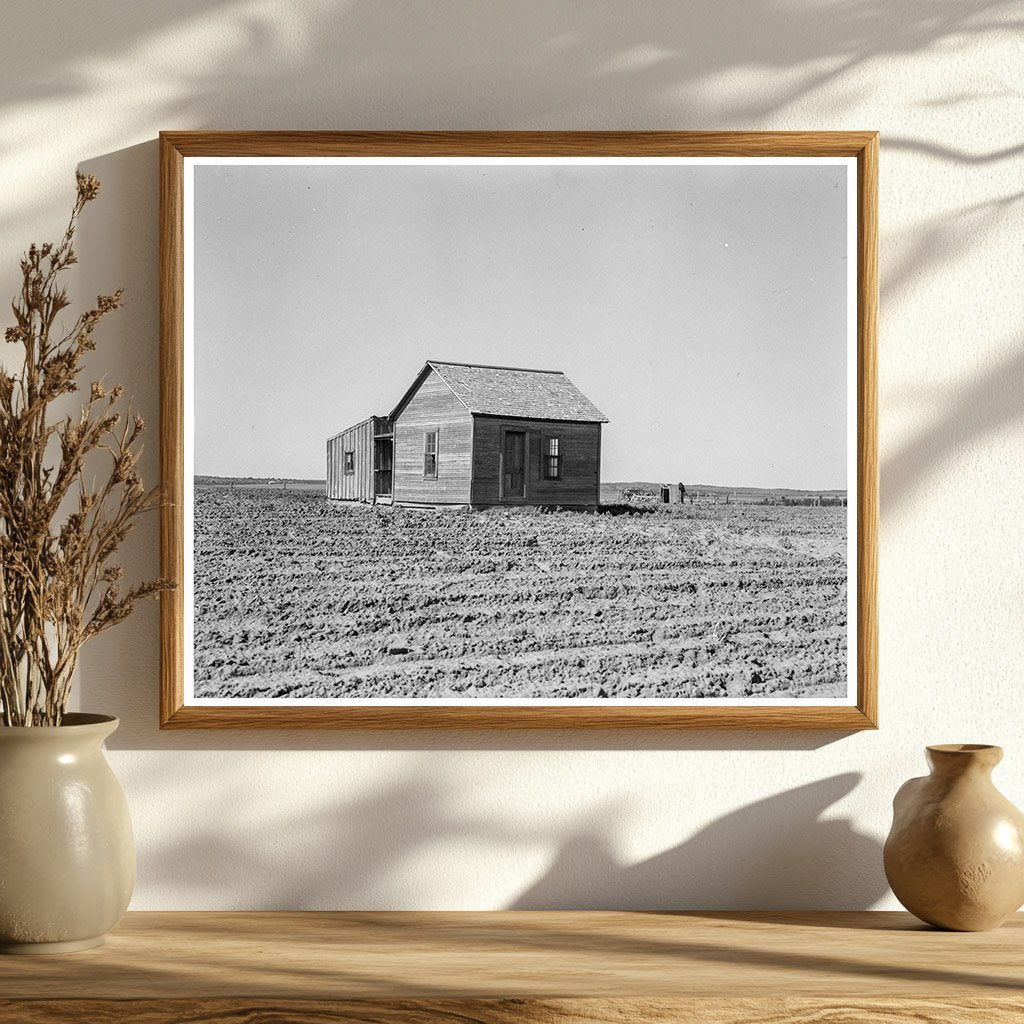 Cultivated Fields and Abandoned House Hall County Texas 1937 - Available at KNOWOL
