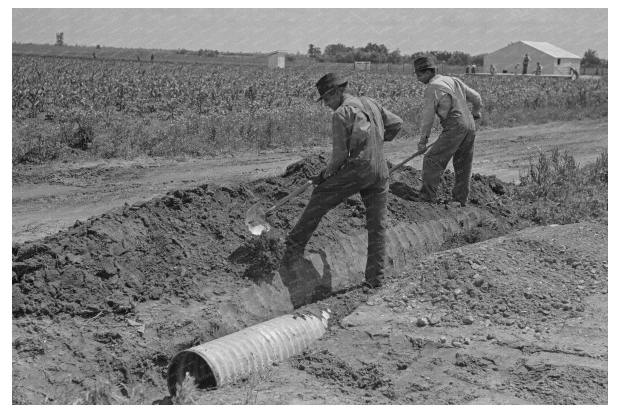 Culvert Construction in New Madrid County May 1938 - Available at KNOWOL
