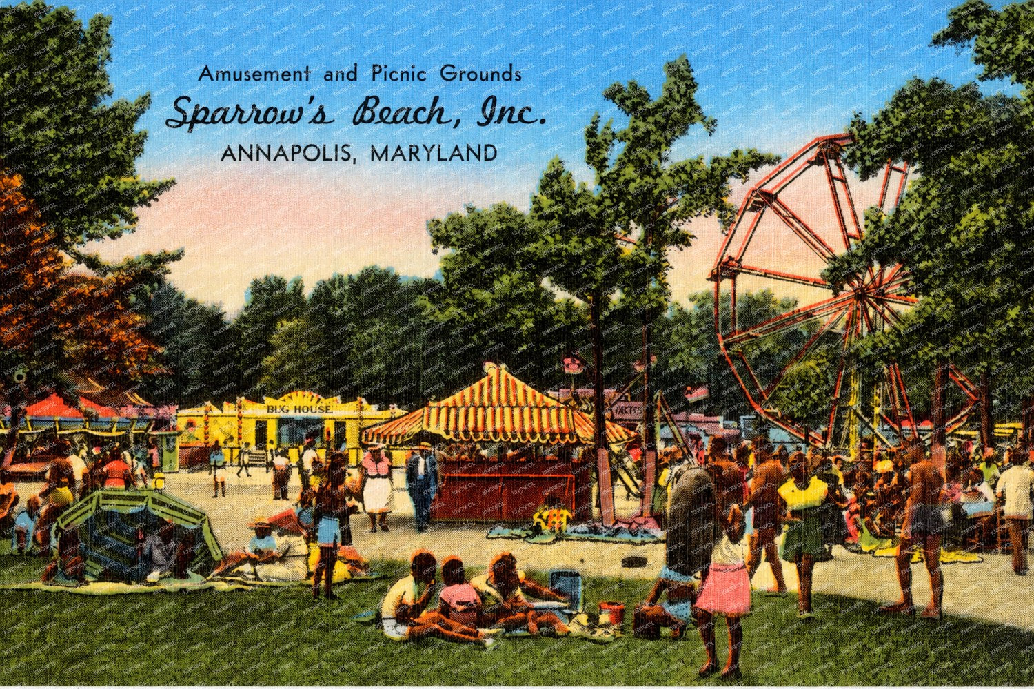 Amusement and picnic grounds, Sparrow's Beach, Inc., Annapolis, Maryland — Vintage Maryland Postcard