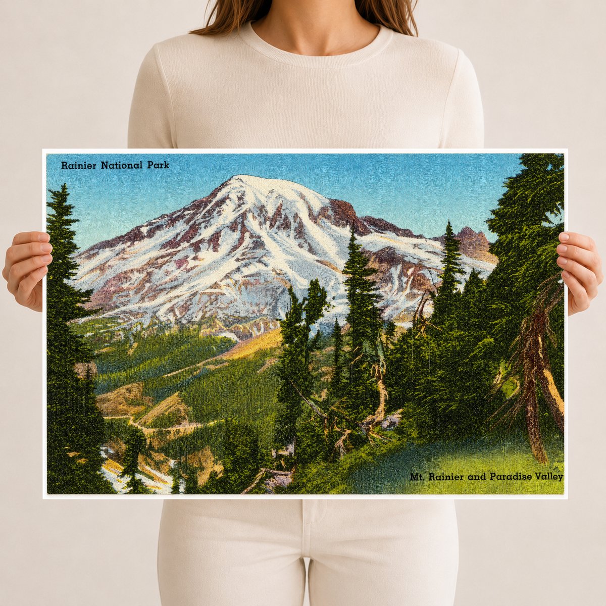 Mount Rainier National Park, WA: Rainier National Park, Mt. Rainier and Paradise Valley