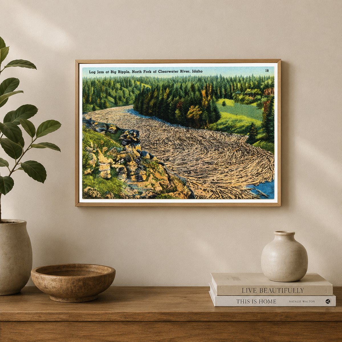 Clearwater, ID: Log jam at Big Ripple, North Fork of Clearwater River