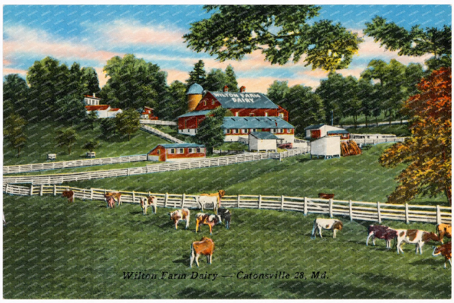 Wilton Farm Dairy -- Catonsville 28, MD — Vintage Maryland Postcard