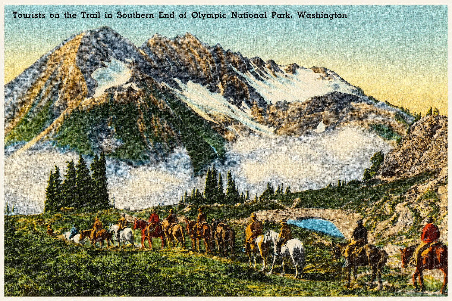 Olympic National Park, WA: Tourist on the trail southern end of Olympic National Park