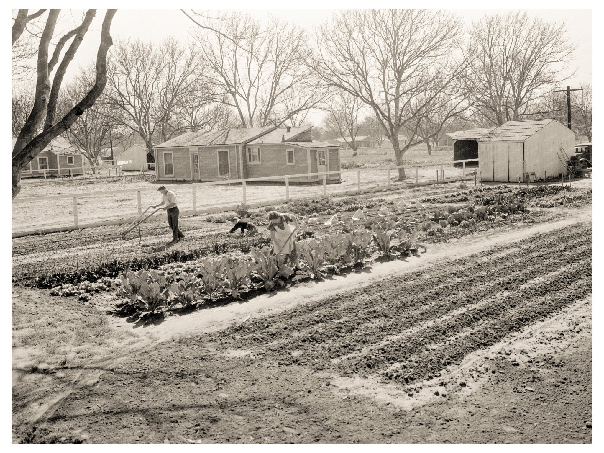 El Monte California Federal Subsistence Homestead 1936 Vintage Image - Available at KNOWOL