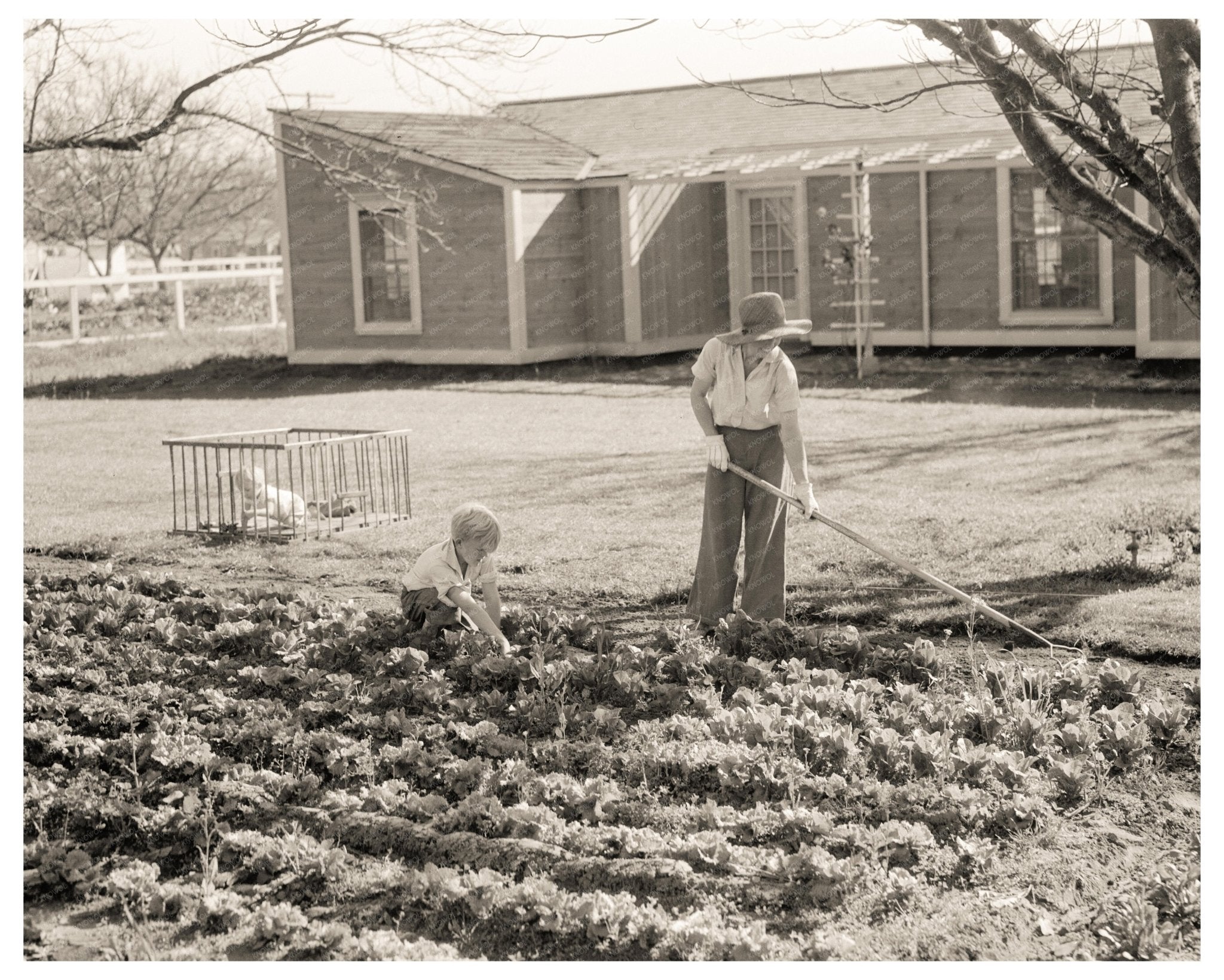 El Monte Federal Subsistence Homesteads California 1936 Vintage Image - Available at KNOWOL