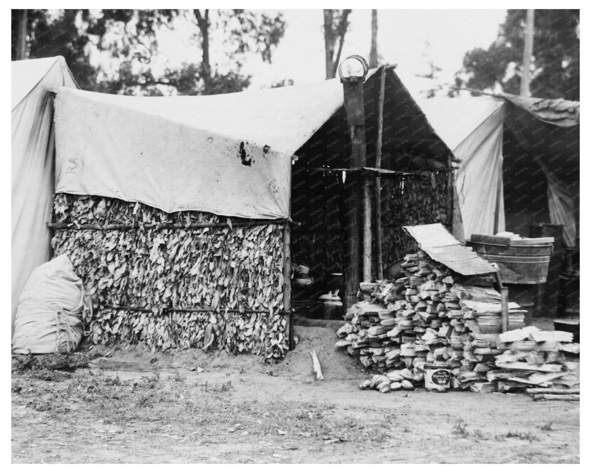 Eucalyptus Leaf House in Bakersfield California Circa 1935 Vintage Photo - Available at KNOWOL