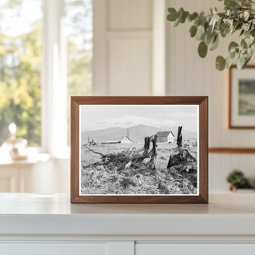 Evanson New Home Land Clearing Priest River Valley 1939 - Available at KNOWOL