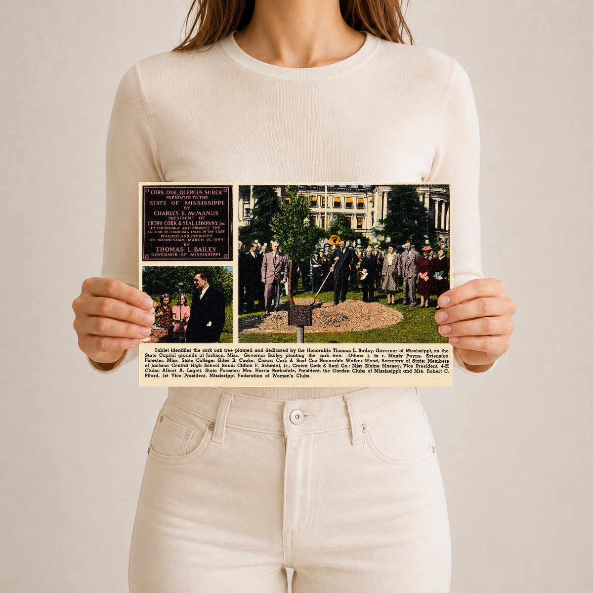 MS: Tablet identifies the cork oak tree planted and dedicated by the Honorable Thomas L. Bailey, Governor of Mississippi, on the State Capitol grounds at Jackson