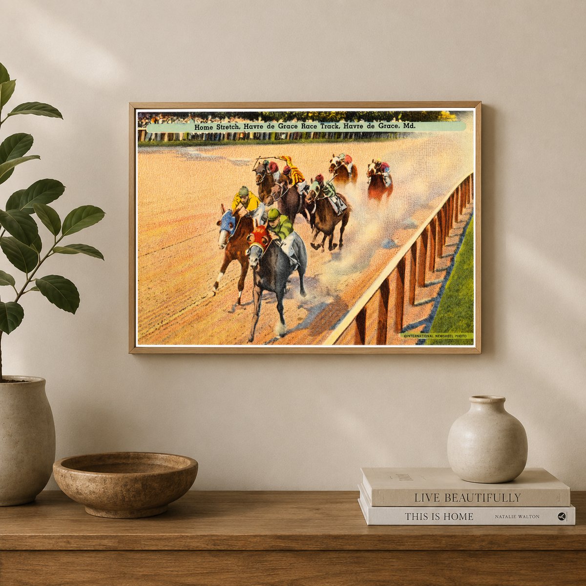 Home stretch, Havre de Grace Race Track, Havre de Grace, MD — Vintage Maryland Postcard