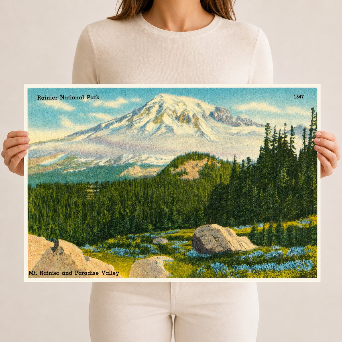 Mount Rainier National Park, WA: Rainier National Park, Mt. Rainier and Paradise Valley