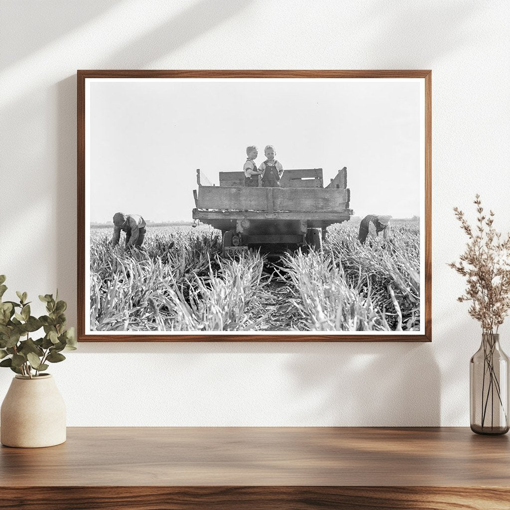 Family Harvesting Milo Maize California 1938 - Available at KNOWOL