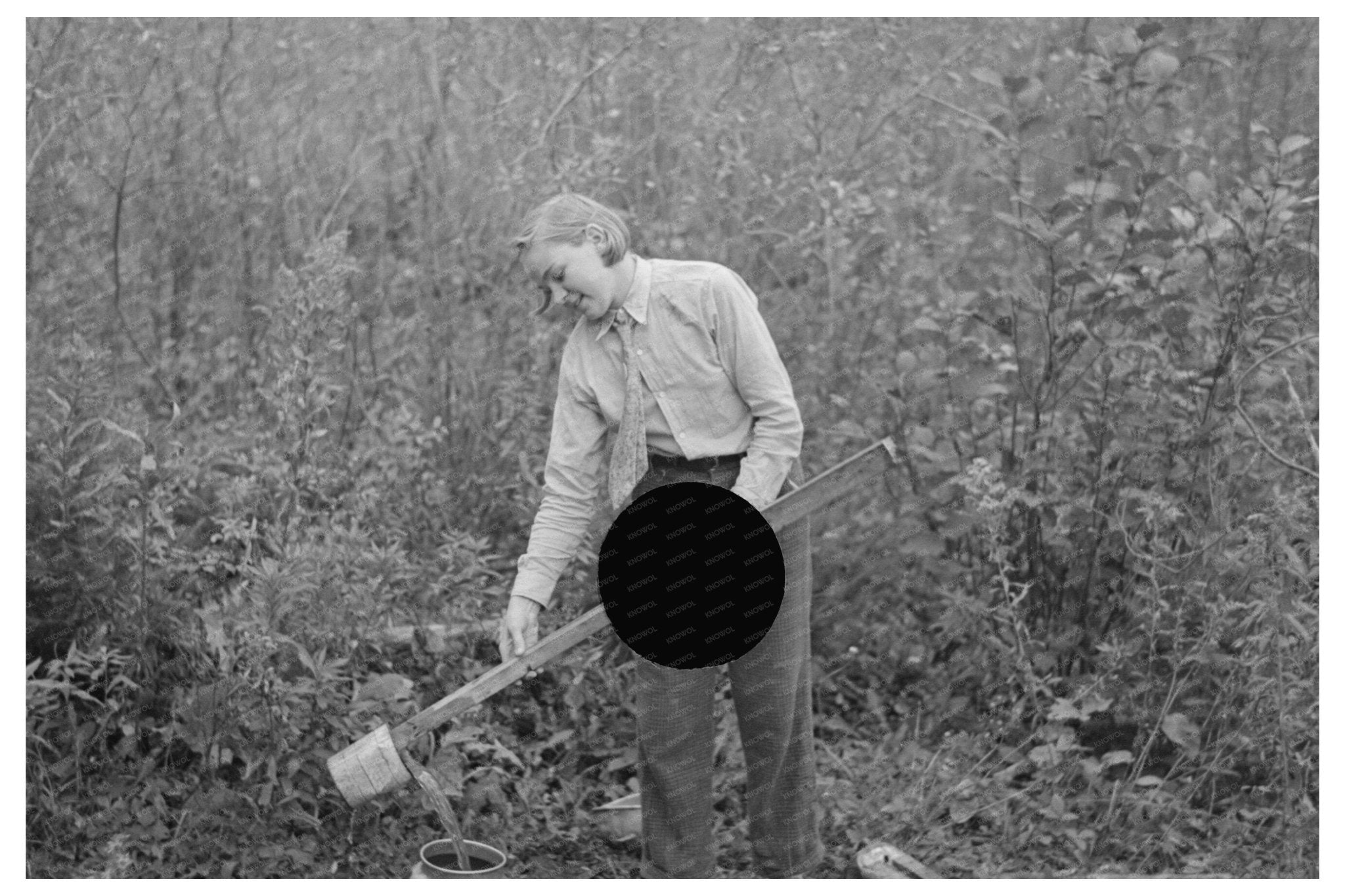 Farm Life in Northome Minnesota 1937 Vintage Photograph - Available at KNOWOL