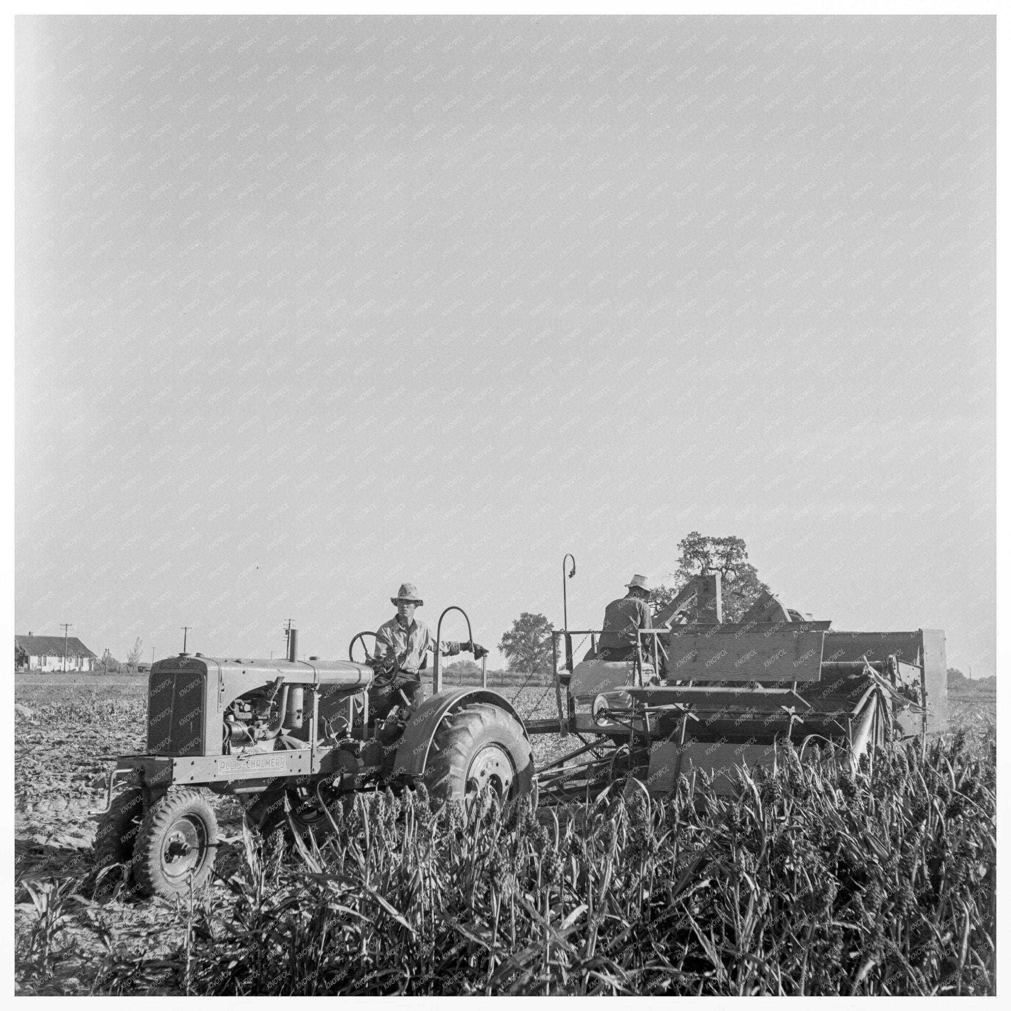 Farm Security Administration Clients with All - Crop Harvester 1938 - Available at KNOWOL