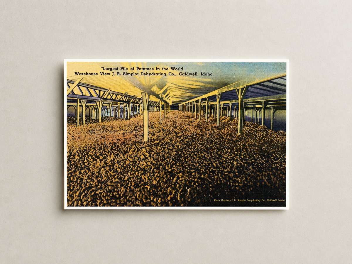 Caldwell, ID: "Largest pile of potatoes in the world," warehouse view J.R. Simplot Dehydrating Co.