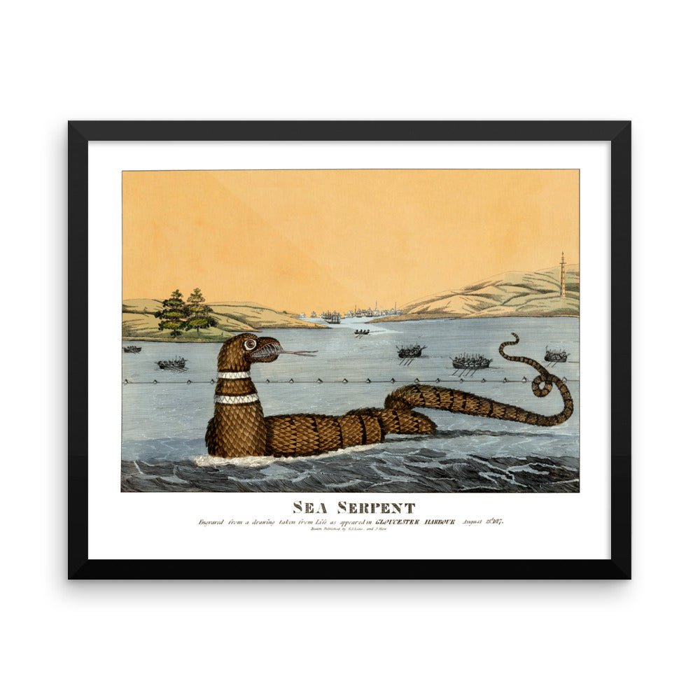 Gloucester Sea Serpent, 1817 Framed - Available at KNOWOL